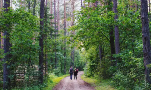 10 Amazing Things to Do at Warriors’ Path State Park in Tennessee