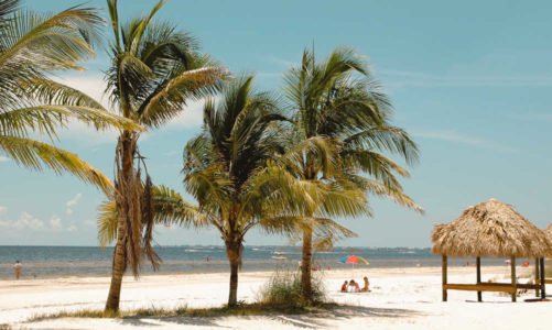 10 Best Things to Do in Fort Myers Florida – A First Timer’s Guide