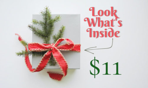 At $11, This Is the One Budget Gift No One Will Be Disappointed Receiving