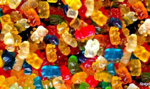 eBags – Packing Cubes With Some Flavor-Flav