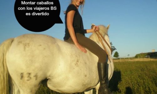 Dude, Where’s My Horse? Sweet Deal in Uruguay.