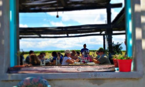 Best Mendoza Wine Tours on a Budget > For Wine Lovers
