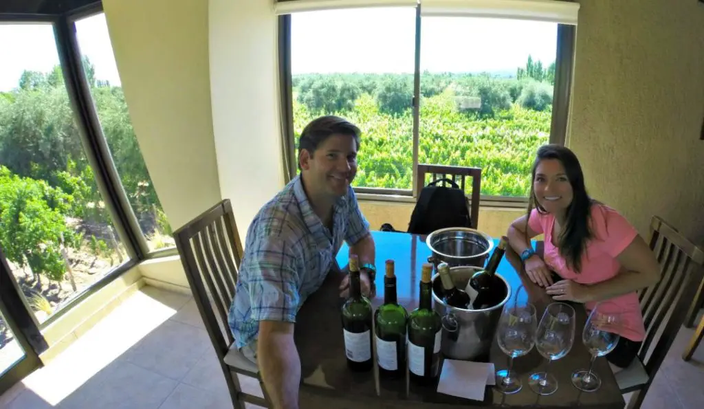A very simple tasting room with a stunning view of the vineyards. Offers a priceless experience tasting with the owners!