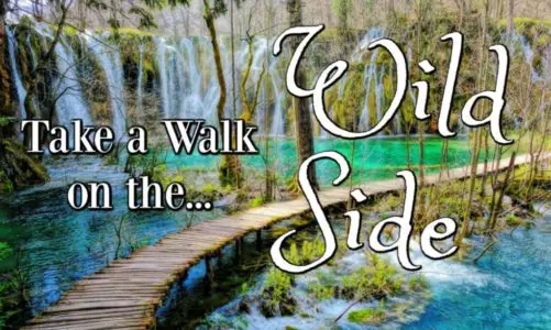 Plitvice Lakes National Park – What You Need to Know Before Visiting