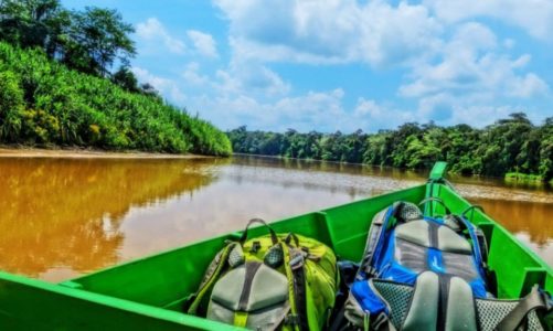 Malaysia Borneo | Best Things to Do When Exploring the Island