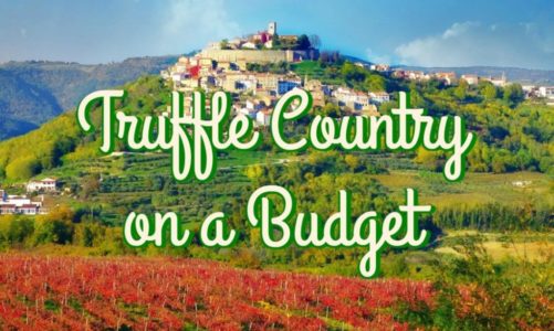 Motovun Istria – Best Places to Taste Truffle in Croatia