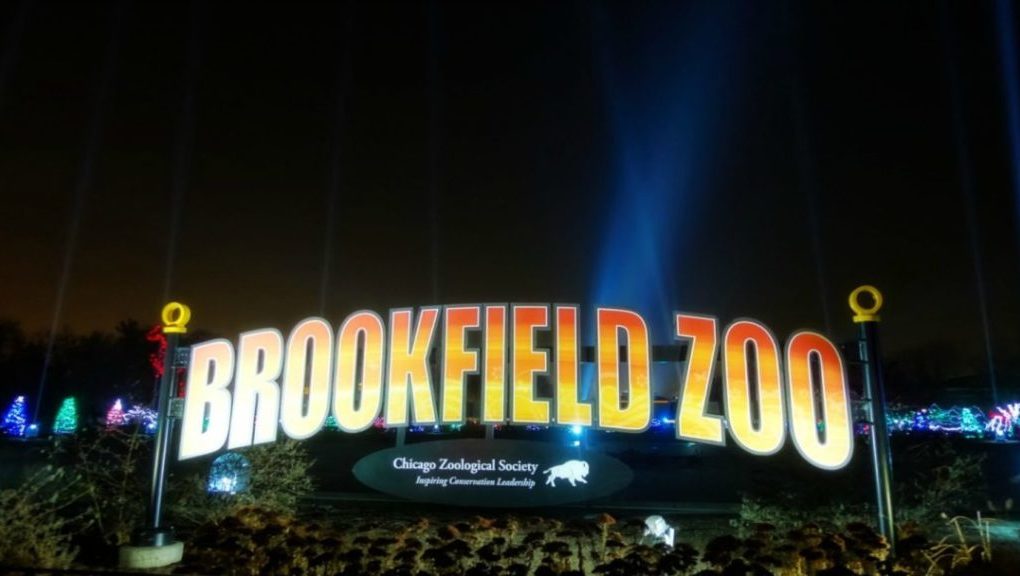 Brookfield Zoo Lights Hours 2017 Shelly Lighting