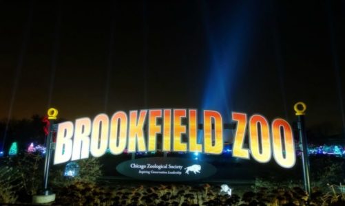 Brookfield Zoo Holiday Magic  – Bright Lights. Magical Nights