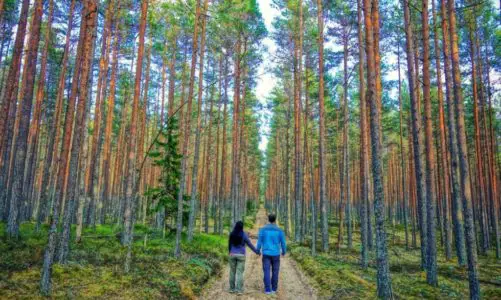 Best Day Trips From Tallinn Estonia for Nature & Adventure Lovers