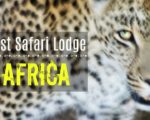 This Is the Best Safari in South Africa and Best Value For the Money