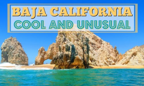 Baja California Peninsula – 7 Cool and Unusual Things to See and Do