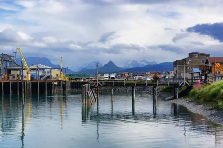 5 Best Things to Do in Homer Alaska Wildlife Attractions & Scenic Drives