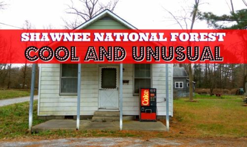 Shawnee Forest Illinois | Cool and Unusual Things to See and Do
