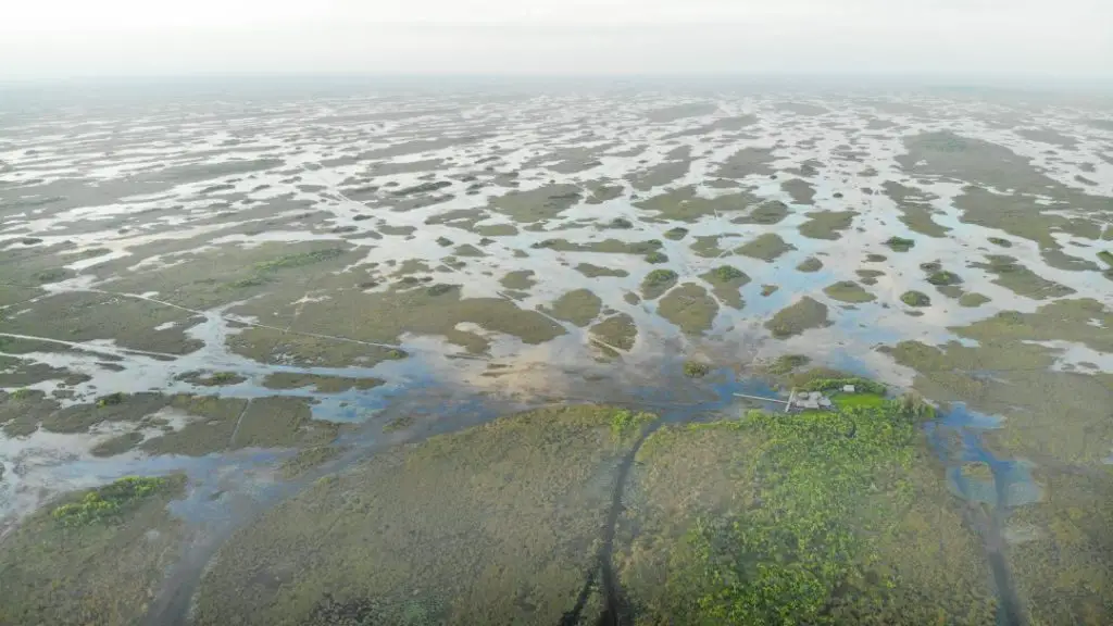 Best Places to See Alligators On Your Florida Vacation