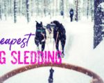 Cheapest Places to Go Dog Sledding | Ranked by Cost Per Minute
