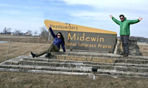6 Amazing Places to See Illinois Wildlife for Animal Lovers