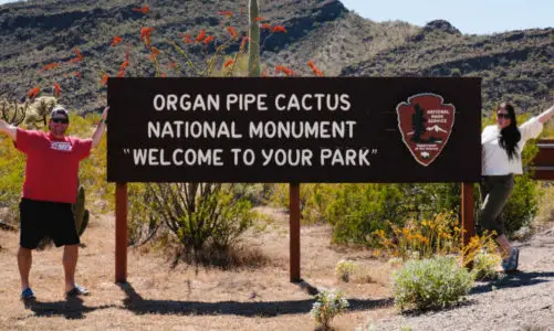 From Danger Zone to Desert Paradise – Organ Pipe Cactus National Monument