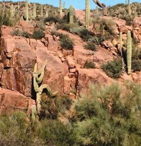 t rex game cactus