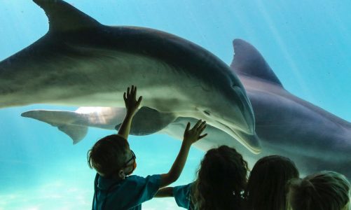 5 Travel Hacks To Know When Exploring Orlando With Children