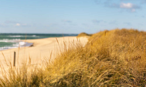 7 Best Ways to Vacation in Nantucket on a Budget