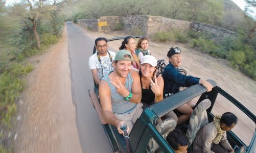 7 Things to Know Before Visiting Ranthambore Tiger Reserve