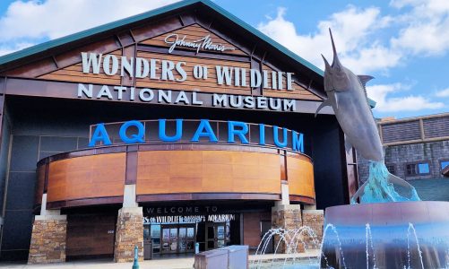 Bass Pro’s Wonders of Wildlife > How To Get Discount Tickets