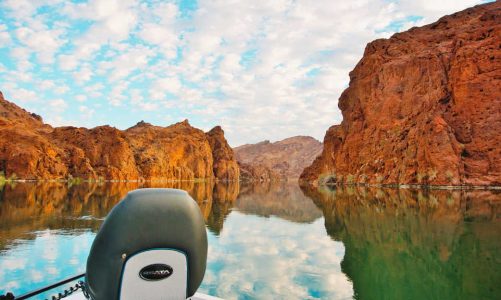 11 Best Fishing Spots in Lake Havasu – WTF Where’s the Fish?