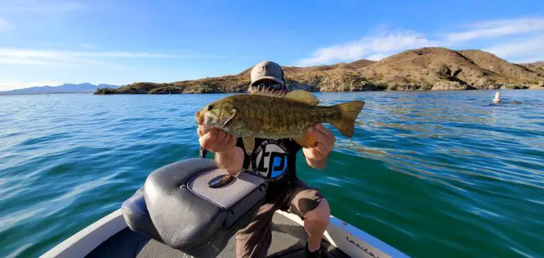 Ultimate Guide to the Best Fishing Spots in Lake Havasu