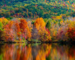 6 Best Places To See Fall Foliage in the US in 2023