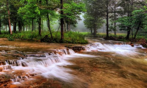 Best Places to Go in Missouri > A Comprehensive Travel Guide