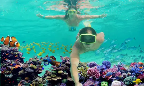 Best Snorkeling in the U.S. – Breathe New Life Into Your Vacation