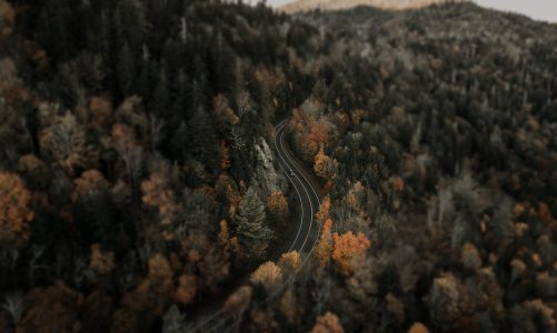 Budget-friendly Traveling – Driving or Flying to the Destination?