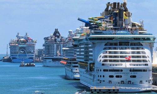 7 Cheap Must-Have Gadgets for Your Next Cruise