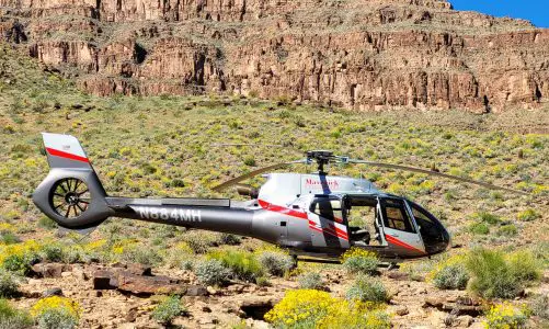 Eco-Friendly Adventures in Las Vegas, Including Helicopter Tours
