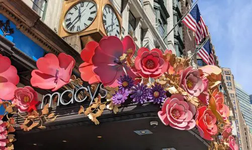 NYC’s Most Surreal Free Attraction (Hint: It’s Blooming in Macy’s)