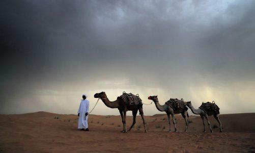 From Desert to Skyscraper > Exploring the Contrasts of the UAE