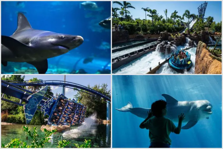 How To Get Discounted SeaWorld Tickets—These Are Cheap!
