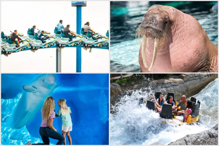 How To Get Discounted SeaWorld Tickets—These Are Cheap!