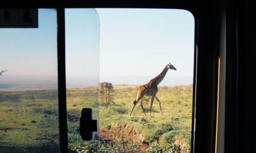 How to Purchase Affordable Trip Medical Insurance
