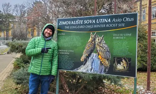 Kikinda Owl Safari 🦉 Everything You Need to Know