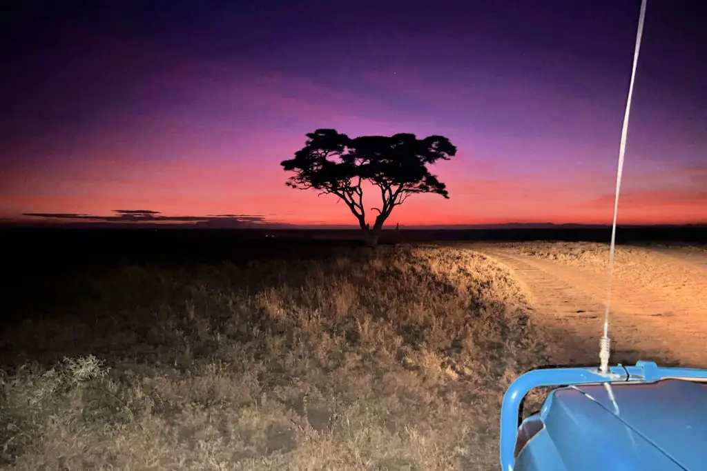 Nightime game drive safari safety in africa