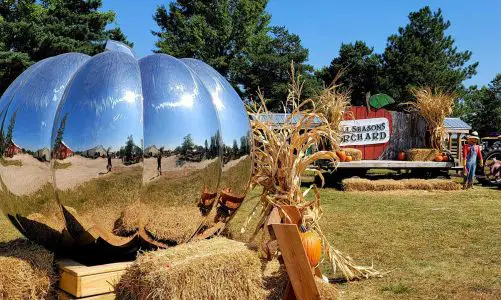 🍎 Crisp Days & Sweet Picks: 3 Must-Visit Orchards Near Chicago for Fall Fun 🌳