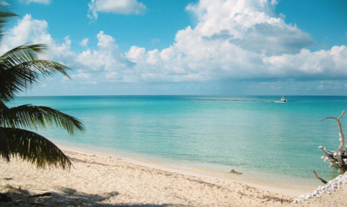 Travel Cozumel Like a Local | Exotic Birds, Pearls, & Chocolate!