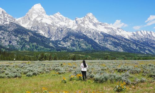 Where to Stay Without Going Broke: 10 Best-Value Lodging Options in Jackson Hole