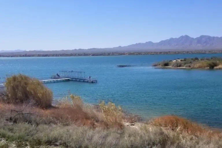 11 Best Fishing Spots in Lake Havasu WTF Where's the Fish?
