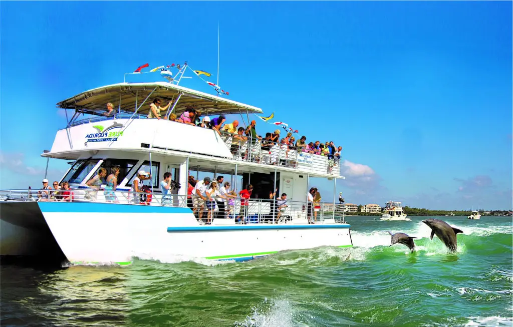 catamaran sunset cruise marco island