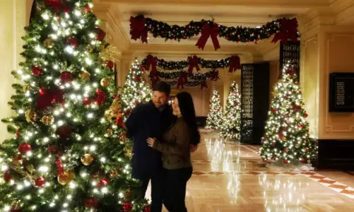 St Louis Missouri – Best Places to Take Holiday Photos in the City!