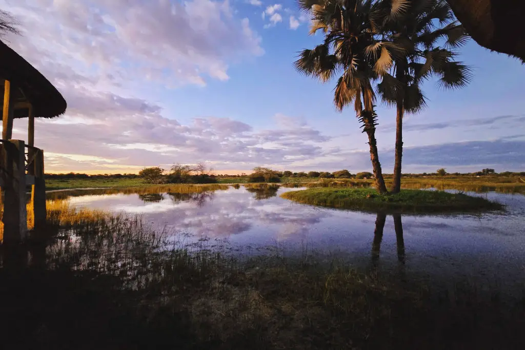 namibia Onguma Bush Camp
