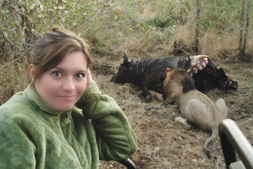 arathusa sabi sands lion kill