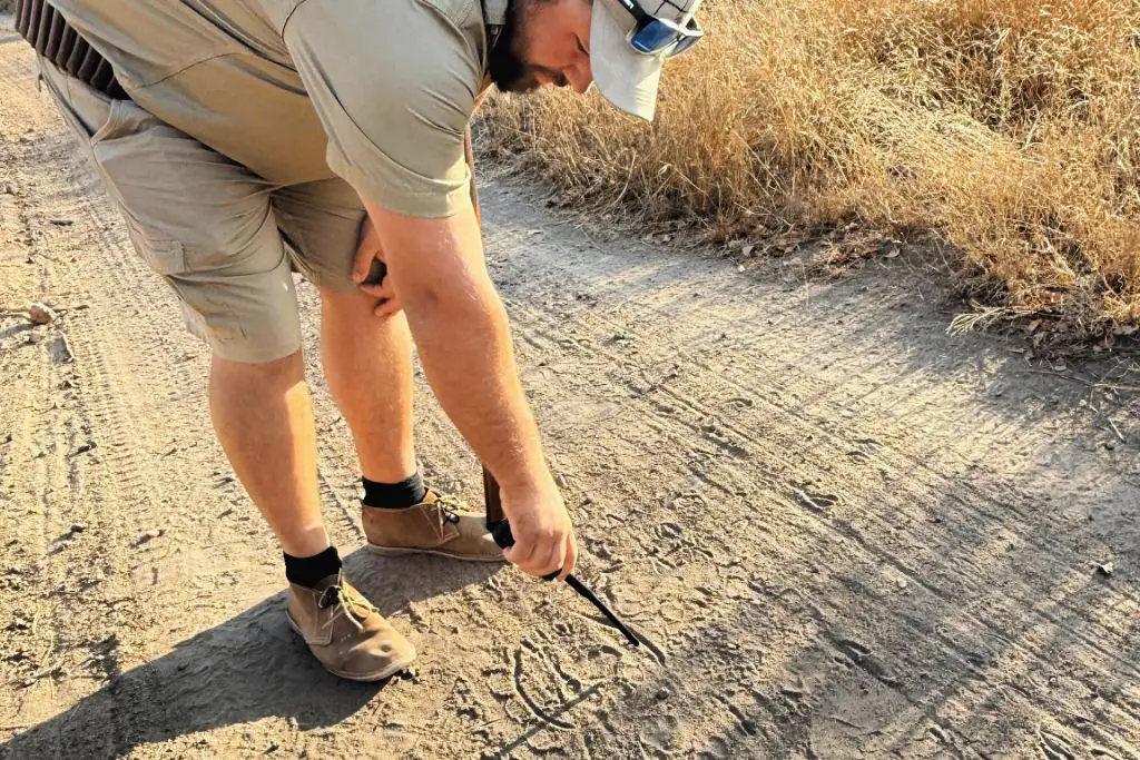 safari guides and trackers identifying game tracks in south africa